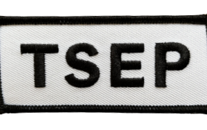Patch TSEP